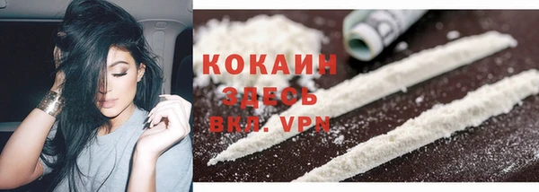 PSILOCYBIN Волосово