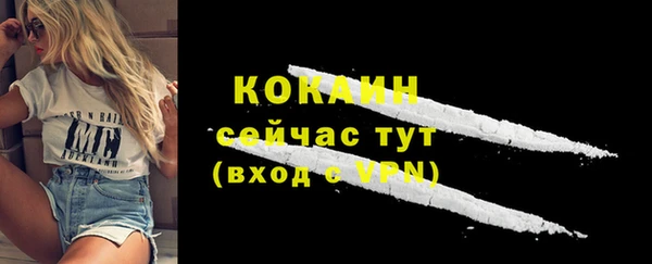 PSILOCYBIN Волосово